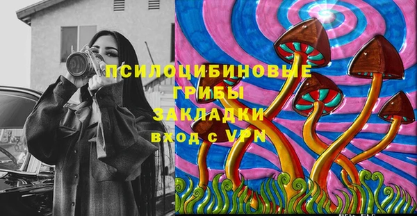 ГАЛЛЮЦИНОГЕННЫЕ ГРИБЫ Волоколамск